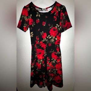 Rose Lula Roe Amelia Dress with Pockets